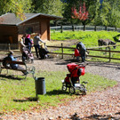 KOE_Wildpark 50 Jahr Jubilaeum 27_jpg-1381680126