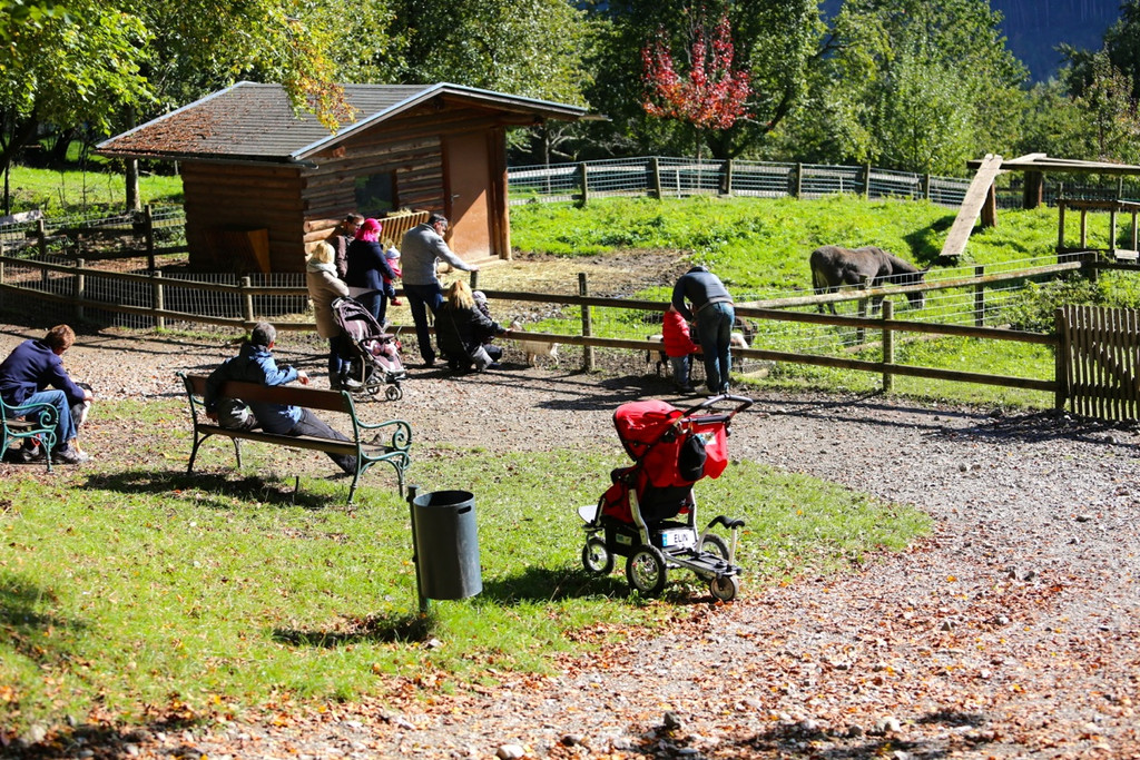 KOE_Wildpark 50 Jahr Jubilaeum 27_jpg-1381680126