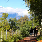 KOE_Wildpark 50 Jahr Jubilaeum 29_jpg-1381680142