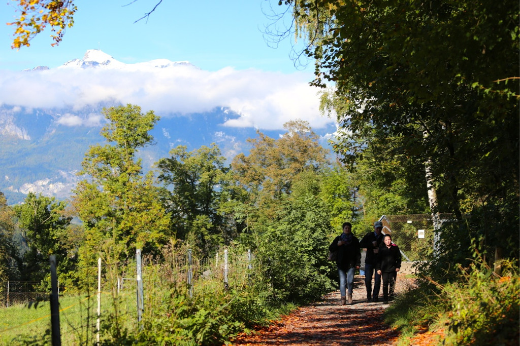 KOE_Wildpark 50 Jahr Jubilaeum 29_jpg-1381680142