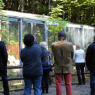 KOE_Wildpark 50 Jahr Jubilaeum 34_jpg-1381680174