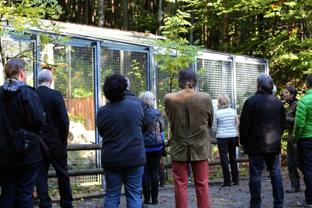 KOE_Wildpark 50 Jahr Jubilaeum 34_jpg-1381680174