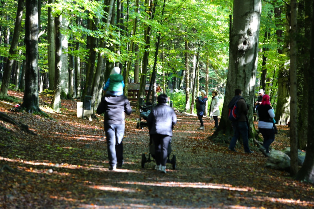 KOE_Wildpark 50 Jahr Jubilaeum 38_jpg-1381680198