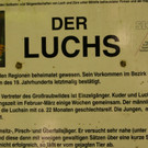 KOE_Wildpark 50 Jahr Jubilaeum 39_jpg-1381680203