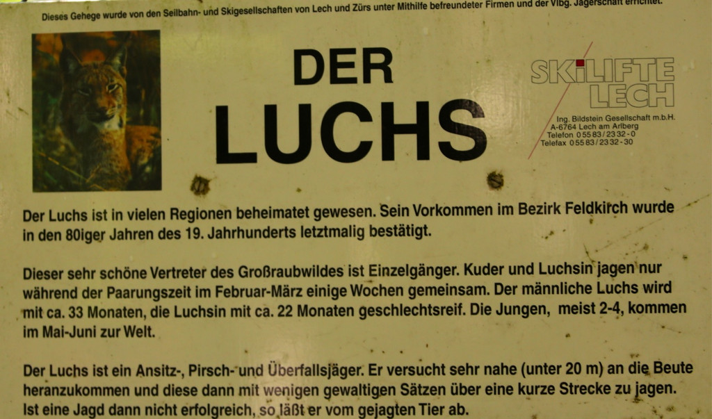 KOE_Wildpark 50 Jahr Jubilaeum 39_jpg-1381680203