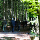 KOE_Wildpark 50 Jahr Jubilaeum 46_jpg-1381680240