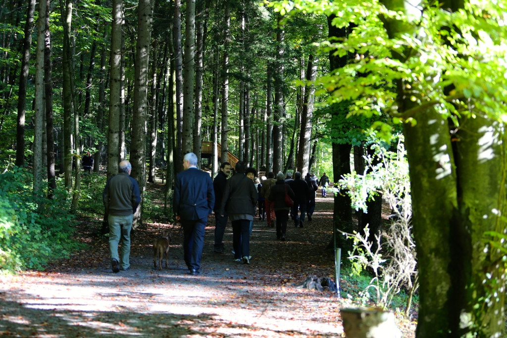 KOE_Wildpark 50 Jahr Jubilaeum 46_jpg-1381680240