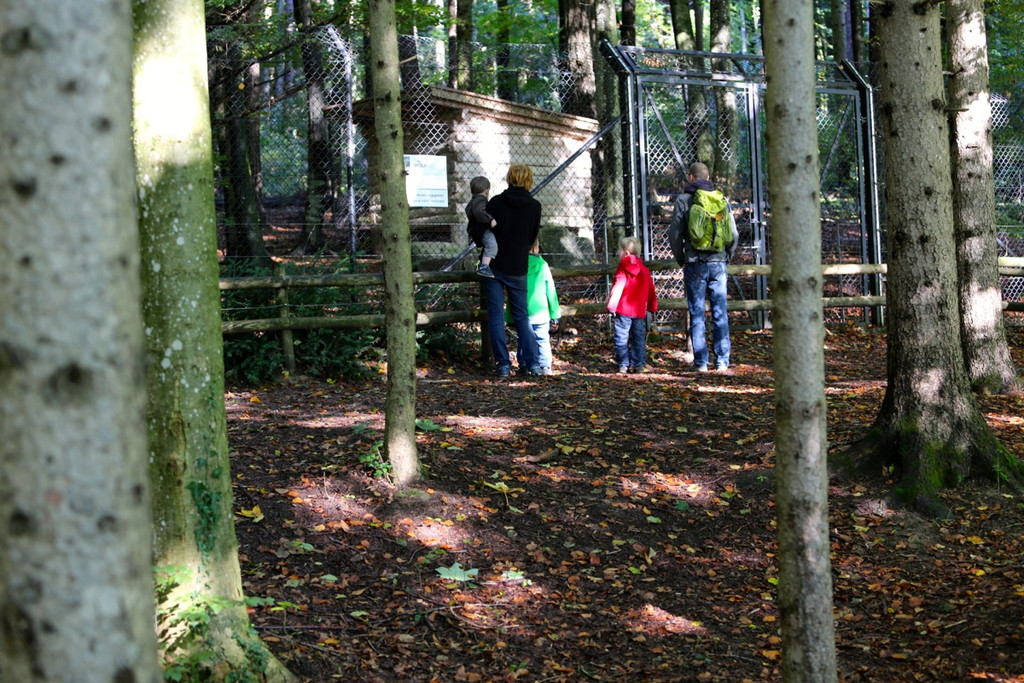 KOE_Wildpark 50 Jahr Jubilaeum 47_jpg-1381680249