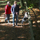 KOE_Wildpark 50 Jahr Jubilaeum 48_jpg-1381680257