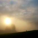 DSC00373 _Large__JPG-1381681764