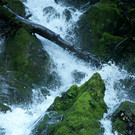 DSC00497 _Large__JPG-1381681700