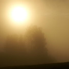 DSC00375 _Large__JPG-1381681768
