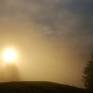 DSC00377 _Large__JPG-1381681769