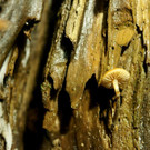 DSC00443 _Large__JPG-1381681877