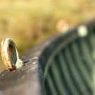 DSC00456 _Large__JPG-1381681929