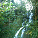 DSC00492 _Large__JPG-1381681959