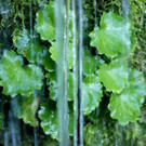 DSC00494 _Large__JPG-1381681971