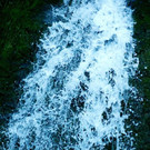 DSC00496 _Large__JPG-1381681985