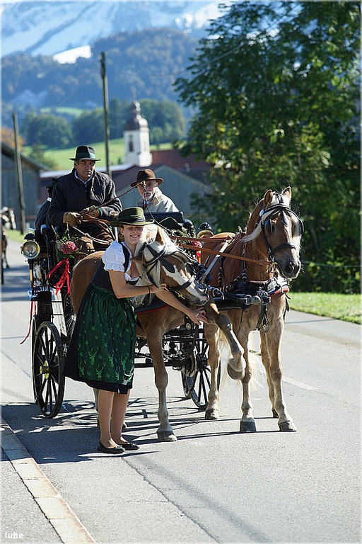 Tag des Pferdes 15_jpg-1381685464