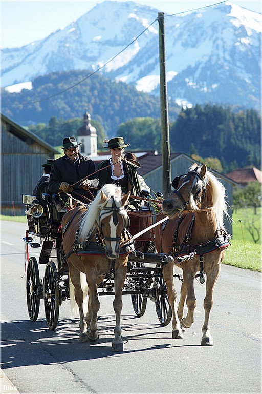 Tag des Pferdes 16_jpg-1381685468