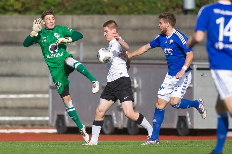 file6c8cqcjxv8zizv1zf21_jpg-1381691349