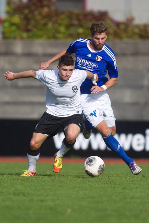 file6c8cynji2y91194v2f22_jpg-1381691424