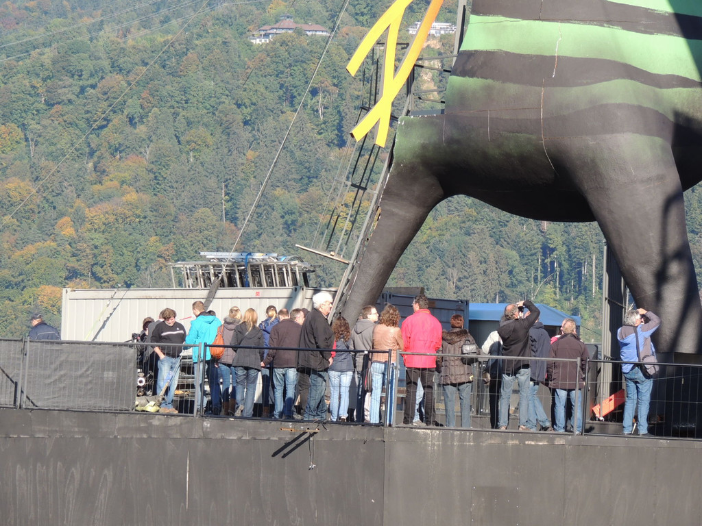 DSCN8440_JPG-1381691712