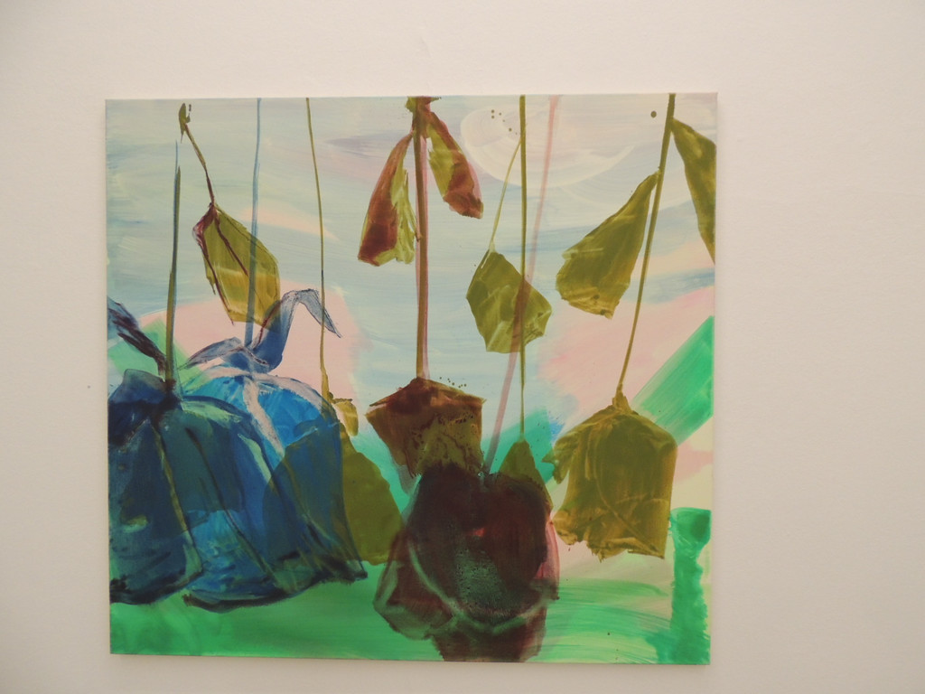 DSCN8084_JPG-1381692328