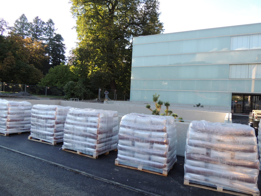 DSCN8511_JPG-1381695222