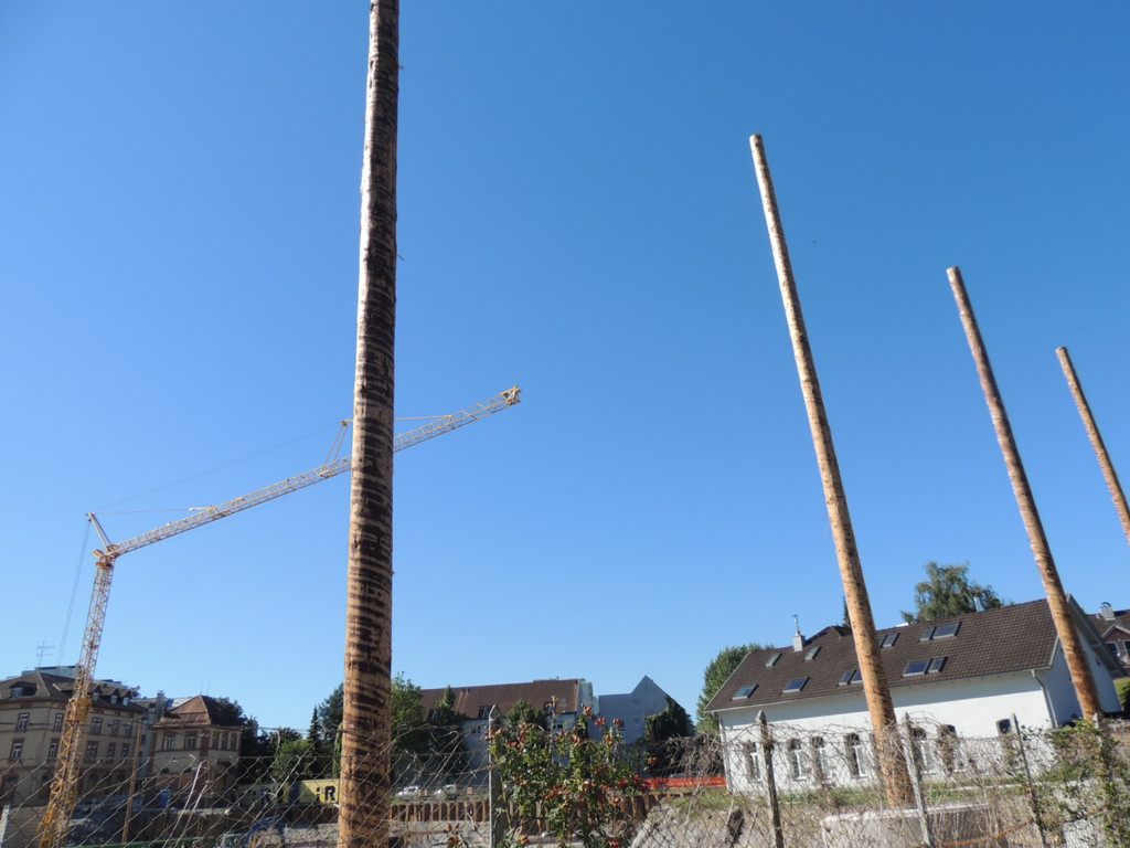 DSCN3299_JPG-1381700479