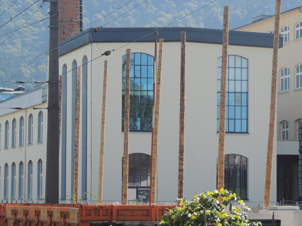 DSCN3295_JPG-1381700463