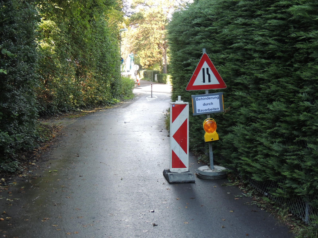 DSCN8356_JPG-1381701761