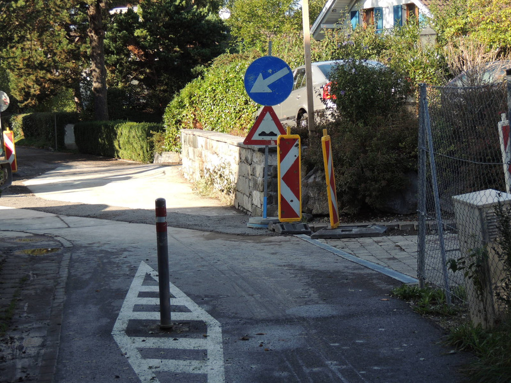 DSCN8358_JPG-1381701769