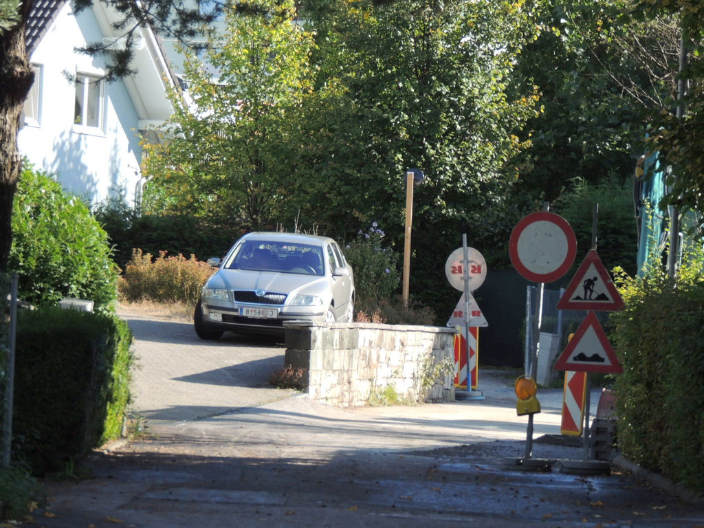 DSCN8353_JPG-1381701751