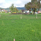 DSC_6582_JPG-1381726263