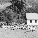 2013-10-03_10_JPG-1381753539