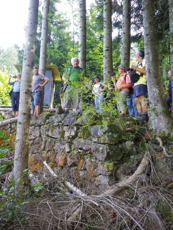 IMGP1449_JPG-1381753593