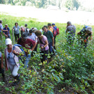 IMGP1448_JPG-1381753579