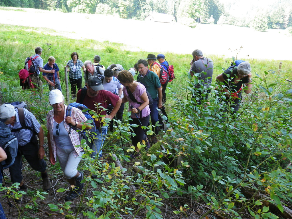 IMGP1448_JPG-1381753579