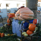 Lauteracher in Festlaune