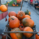 IMG_3008_JPG-1381755692