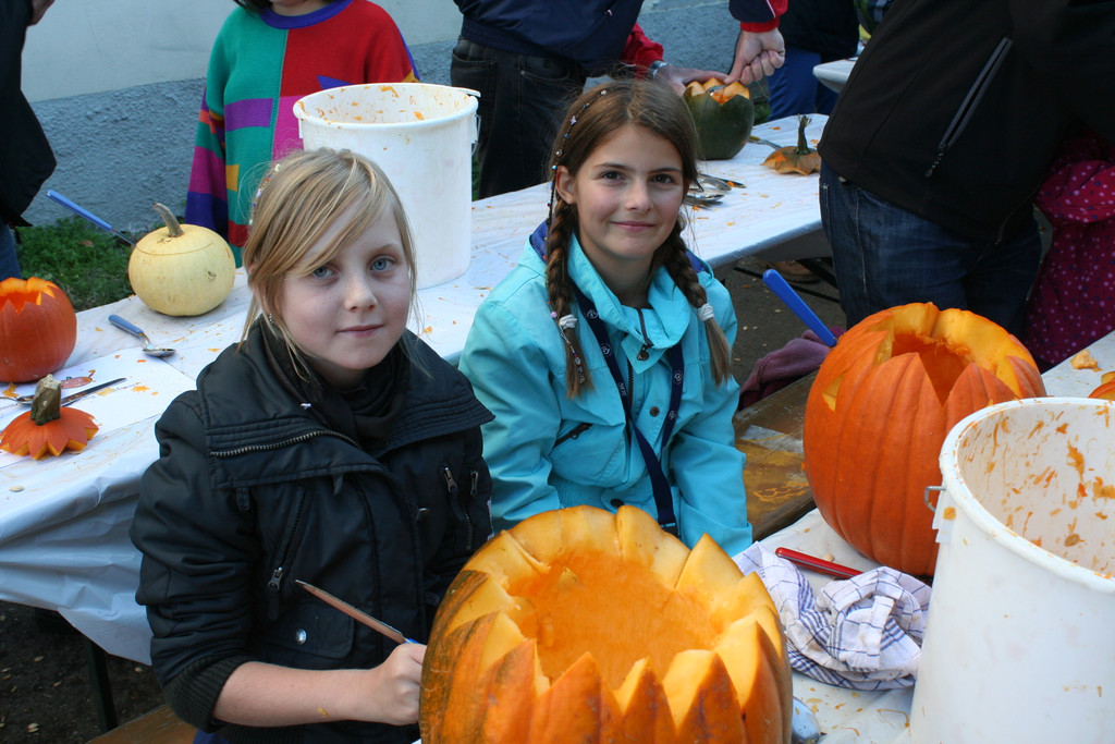 IMG_3010_JPG-1381755707