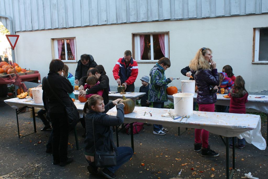 IMG_3011_JPG-1381755723