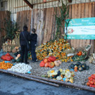 IMG_3029_JPG-1381755848