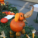 IMG_3040_JPG-1381755974