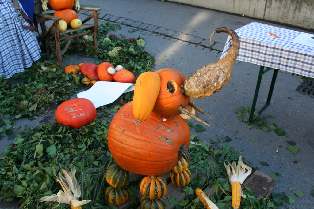IMG_3040_JPG-1381755974