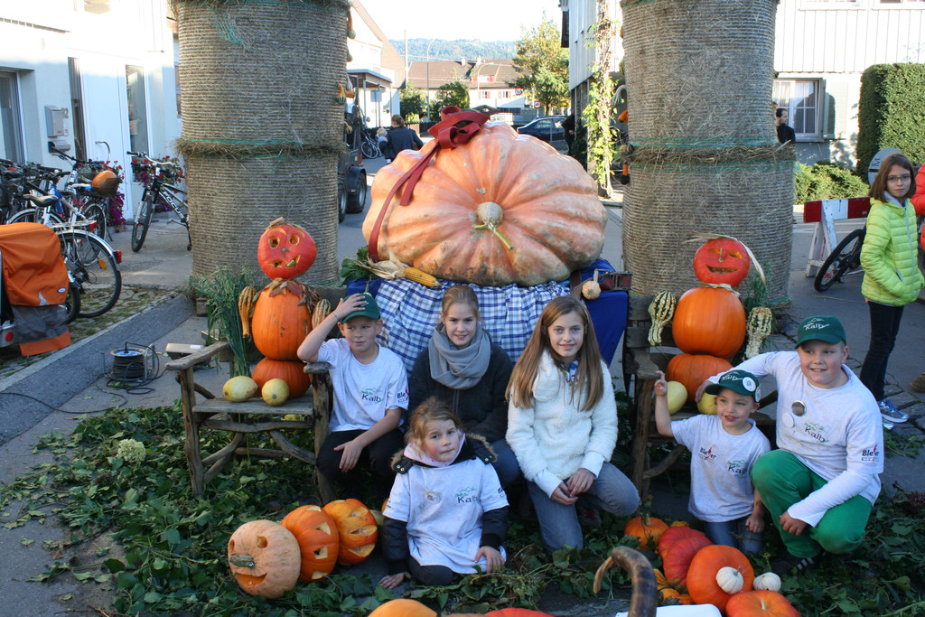 IMG_3043_JPG-1381756022