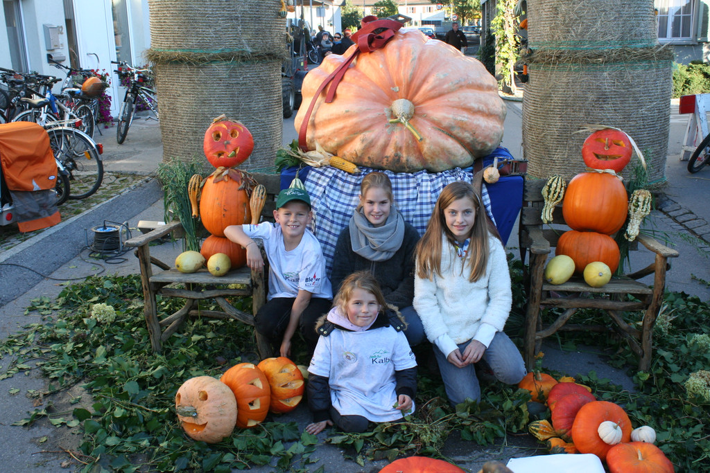 IMG_3045_JPG-1381756043