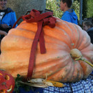 IMG_3054_JPG-1381756059