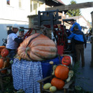 IMG_3055_JPG-1381756076